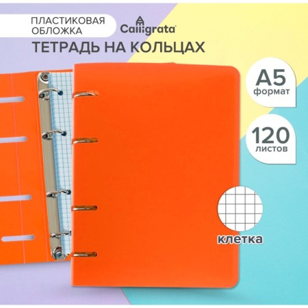 A notebook on rings A5 120 sheets in Calligrata Calgrata Called, plastic cover, offset unit