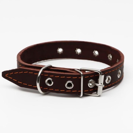 The collar is a single-layer leather, dimensionless, 56 x 2.5 cm, Osh 17-44 cm, brown-1