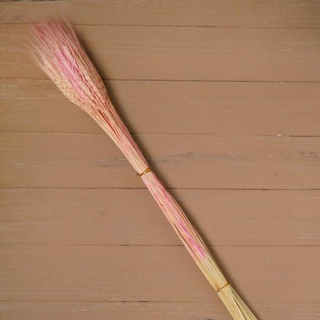 Dry Colossus of wheat, set 50 pcs., Pink color-3