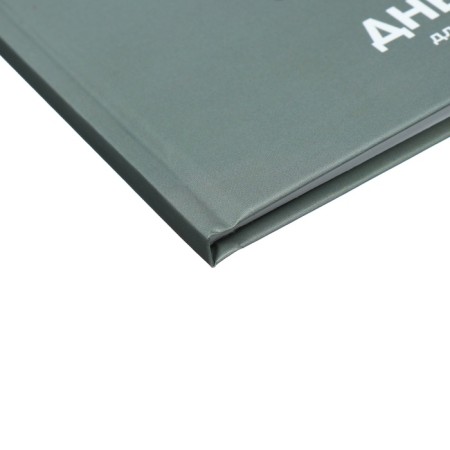Universal Diary 5-11 classes, 48 ​​sheets "there is", matte lamination, a solid cover, a UV-lace, block 65 g/m2-2