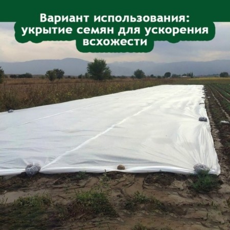 Covering material, 8 × 2.8 m, density 45 g/m², with UV stabilizer, white, Raifenhauser-2