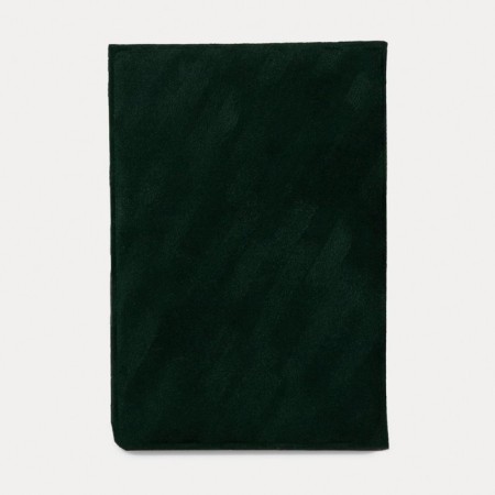 Cover for passport, green color-1