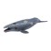 Figure "World of Marine Animals: Gray Whale"