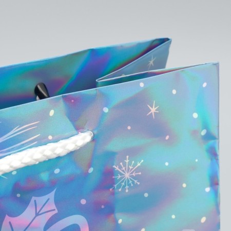 Holographic package "Morozko", ml 23 x 27 x 11.5 cm, new year-4
