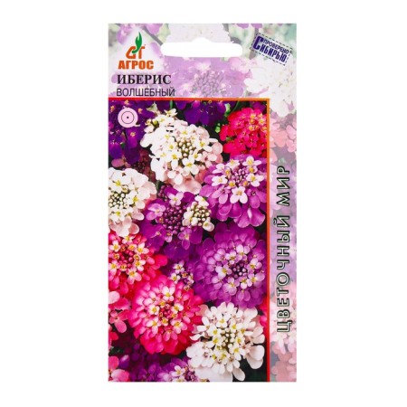 Seeds Iberis magic 0.4g*