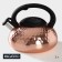 A kettle with a stainless steel stainless steel Magistro Glow, 3 L, Induction, Soft-Touch handle, Bronze color