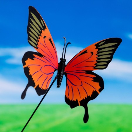 STETER "Butterfly Octavia" 8x10cm/25cm, set 10pcs, mix-2