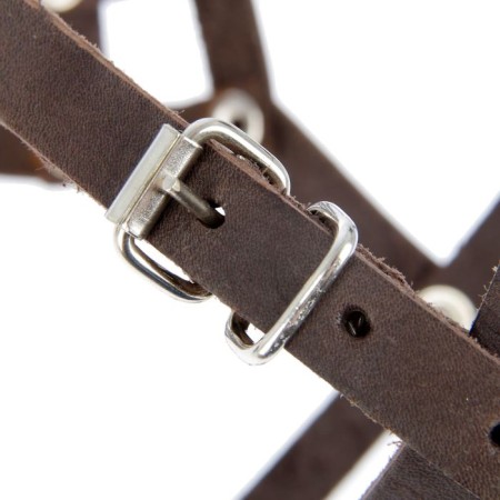 Muzzle leather zoonik No. 4 (length on a nose 9.5 cm, muzzle 31 cm), mix-2