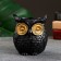 Figure pot "Owl" black, 11x10x10cm