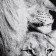Tenle Ethel "Lions" 70x130 cm, 100% cotton, 420 g/m2