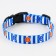 Collar "for a big trip", fastener - fastx, 2 cm 25-40 cm