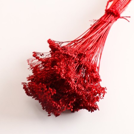 A set of dried flowers "yarrow", banch length 60 (+/- 6 cm), red-2