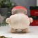 Growing grass Eco -Zhivchik "Santa Claus"