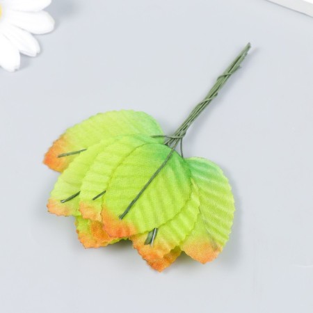 Decor for creativity "Birch sheet" autumn (1 set = 1 bouquet) in the bouquet 10 pcs-1