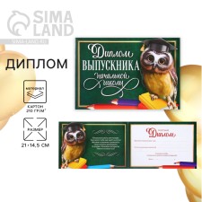 Diploma for the graduation 