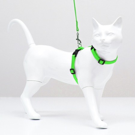 Kit for cats, width 1 cm, Osh 16.5-27 cm, fire 21-35 cm, leash 120 cm, green-3