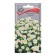 Seeds of chrysanthemum flowers "Snow Maiden", 30pcs