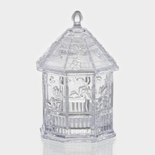 Glass candidate 