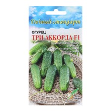 Seeds of cucumber 