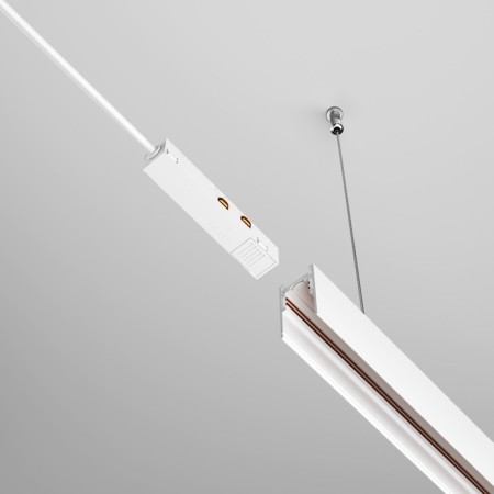 Entering EXILITY, White-1