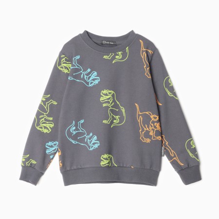Sweatshirt for boys, graphite/dino color, height 122