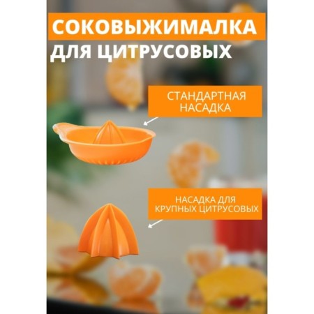 Соковыжималка для цитрусовых «Мадена», 300 мл, цвет МИКС-1
