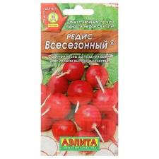 Seeds Radis 