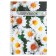 Notebook A5, 80 sheets in a cage on the crest of Calligrata "Chamomile", cover 7BC, OFSET BOCom