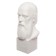 Gypsum figure famous people: Bust Saltykov-Shchedrin 20*9.5*10.5 10-195