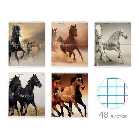 Notebook of 48 sheets in the “horses” cage, cover coated cardboard, UV-lak, block 60 g/m2, mix