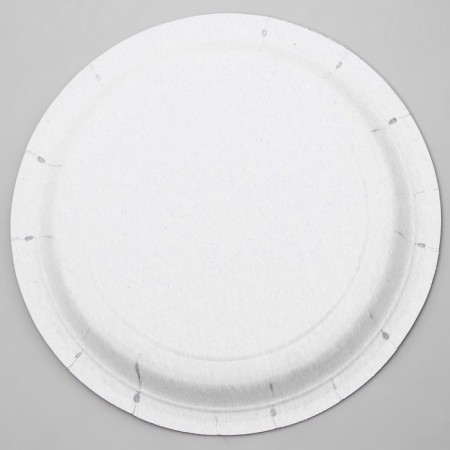 Disposable paper plate "laudatory", set of 6 pcs, types of mix-7