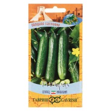 Seeds of the cucumber 