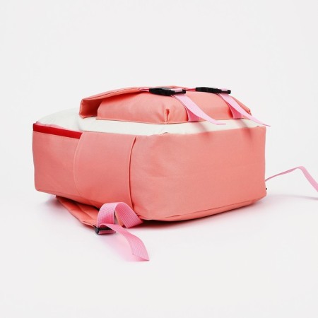 A backpack with a zipper, an outer pocket, a set of a chover, bag, pink color-5