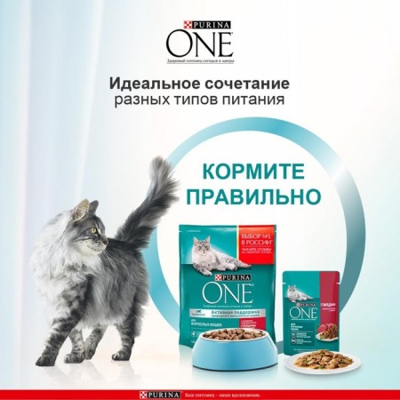 Dry food Purin One for cats, chicken/cereals, 200 g-3