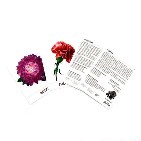 A set of cards. Garden flowers. 16 demonstration pictures-1