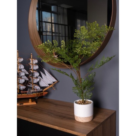 Curly fern in a cement pot, 125 × 125 × 710 mm, green / white / beige color-6