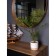 Curly fern in a cement pot, 125 × 125 × 710 mm, green / white / beige color