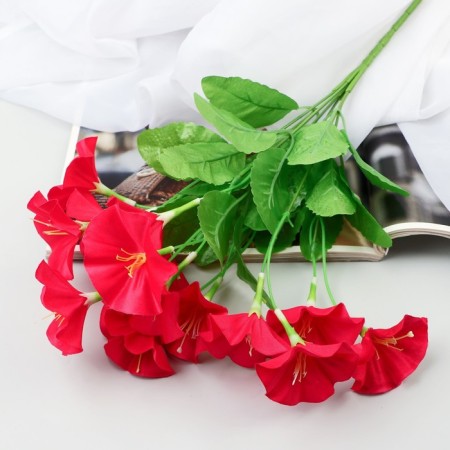 Букет "Петуния" 5х30 см, микс-1