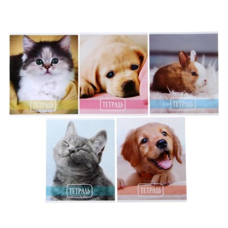 Notebook 24 sheets in the Calligrata line "Pets", cover coated cardboard, VD varnish, OFSET BOLOC, Beliece 95%, MIX