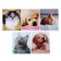 Notebook 24 sheets in the Calligrata line "Pets", cover coated cardboard, VD varnish, OFSET BOLOC, Beliece 95%, MIX