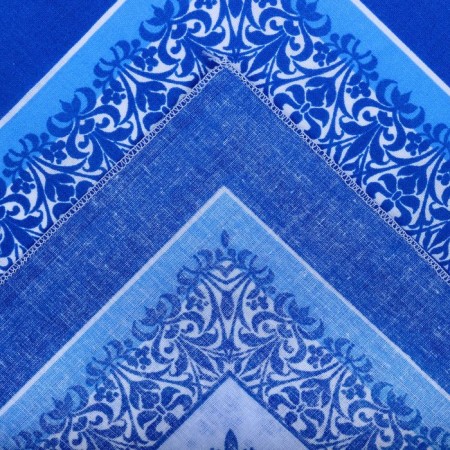 Men's handkerchiefs "Ethel" size 30x30 cm, (set 12 pcs,), blue color, MIX drawing-8