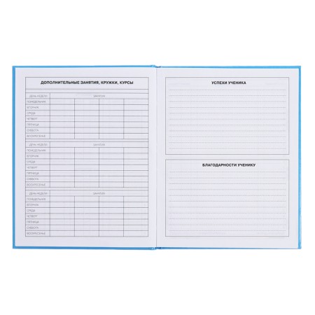 Diary for grades 5-11, 48 sheets "Inspiration!", Firm cover, glossy lamination, block 60 g/m2-7
