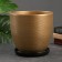 Flower “Amelia” pot of gold, 4.7 liters