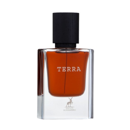 Perfumery water men Terra (based on Terroni Orto Parisi), 50 ml-2
