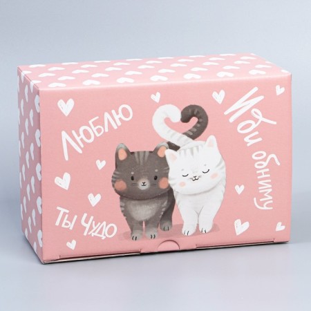 Box Gift team, packaging, “go hug”, 22 x 15 x 10 cm-3