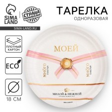 Disposable paper plate 