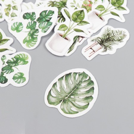 Stickers for creativity "Indoor plants" set 45 pcs 4.4x4.4x1.1 cm-1