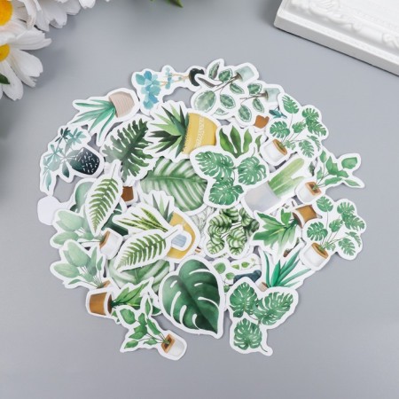 Stickers for creativity "Home plants" set 46 pcs 6.3x4.3x1.1 cm