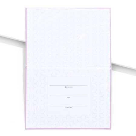 Folder for birth certificate "Anna", A5-2