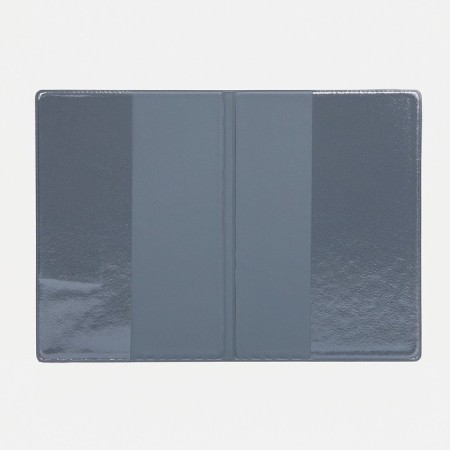 Cover for passport, blue color-2